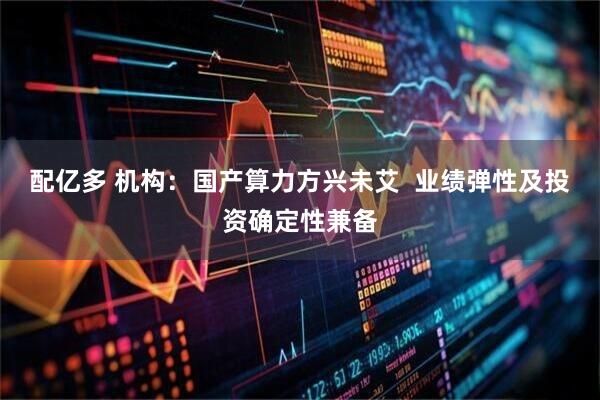 配亿多 机构：国产算力方兴未艾  业绩弹性及投资确定性兼备